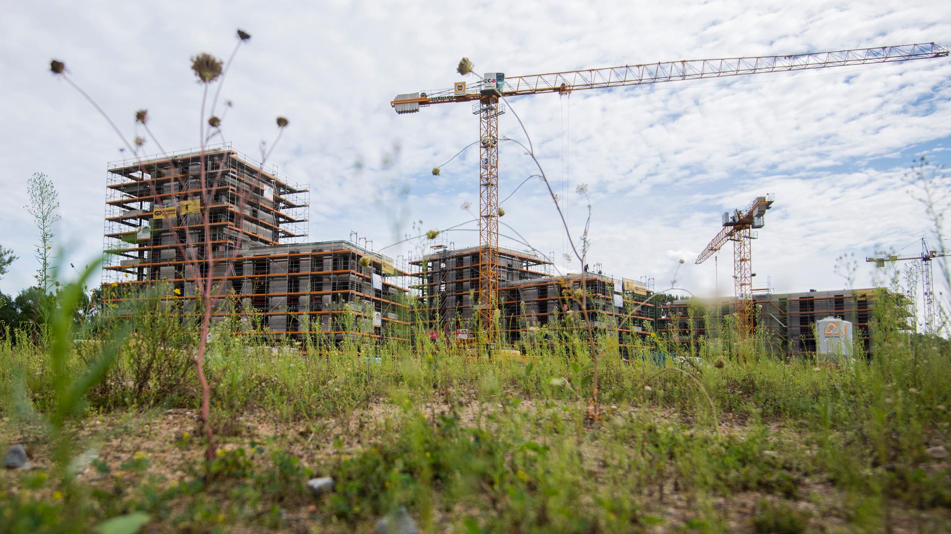 Baugipfel - Das plant die Bundesregierung gegen den Wohnungsmangel