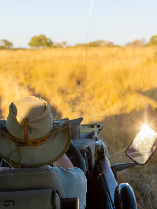 Ein Mann sitzt in einem offenen Safari-Jeep, vor ihm Wildnis. Ein Mann sitzt in einem offenen Safari-Jeep, vor ihm Wildnis.