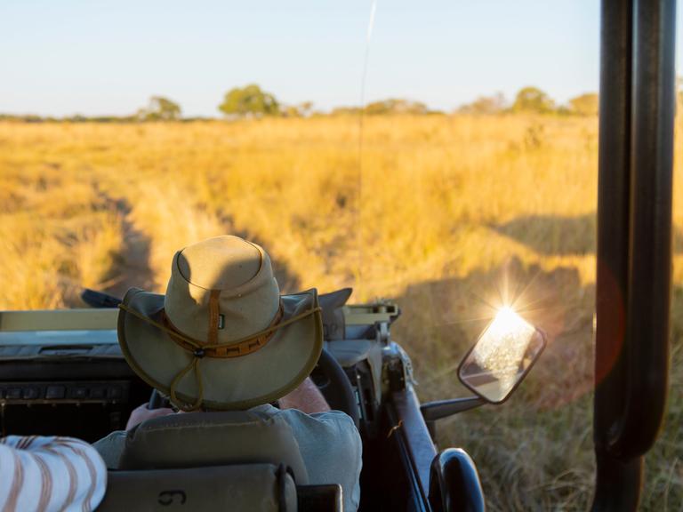 Ein Mann sitzt in einem offenen Safari-Jeep, vor ihm Wildnis. Ein Mann sitzt in einem offenen Safari-Jeep, vor ihm Wildnis.