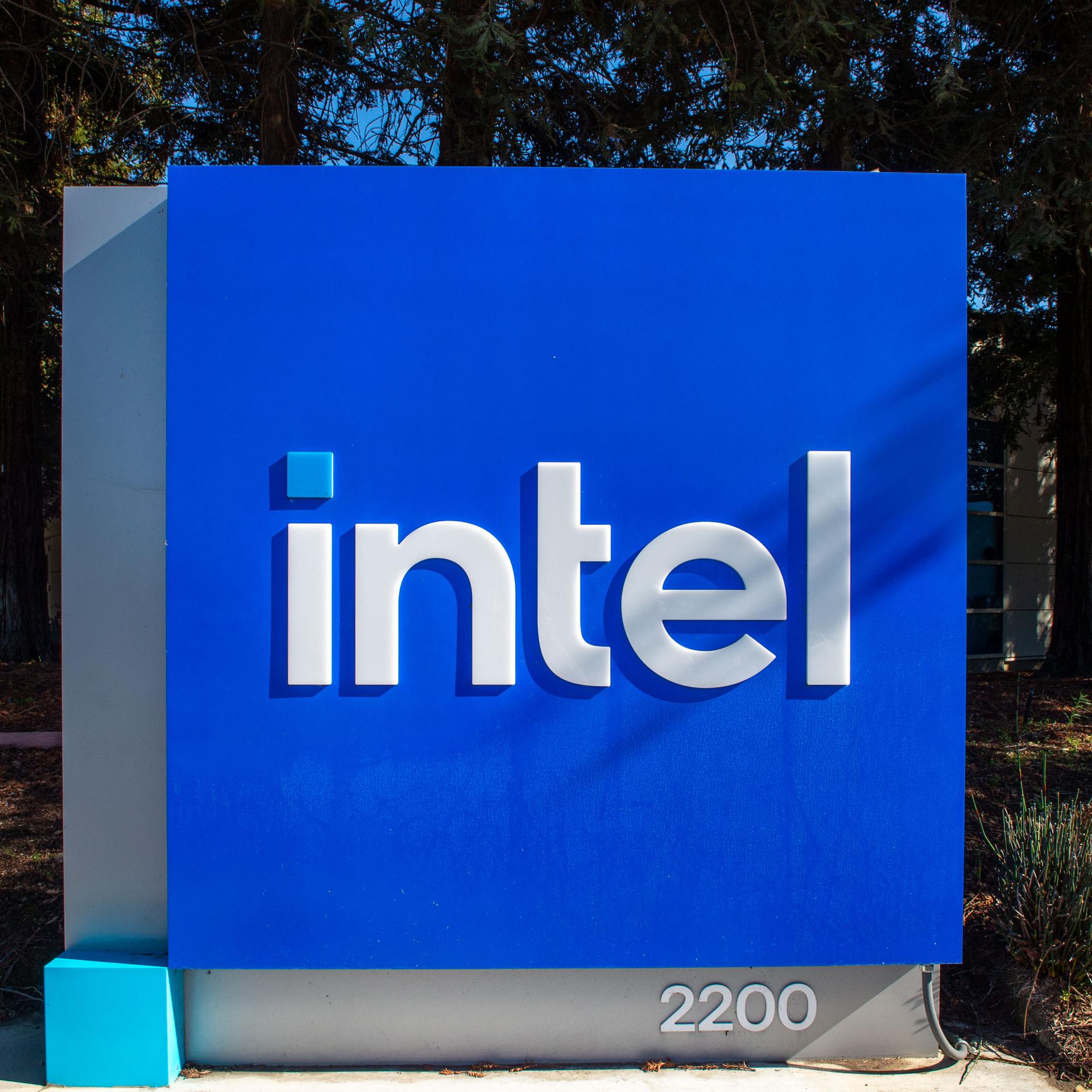 Das Logo von dem Unternehmen Intel. Im Hintergrund ist ein Wald.