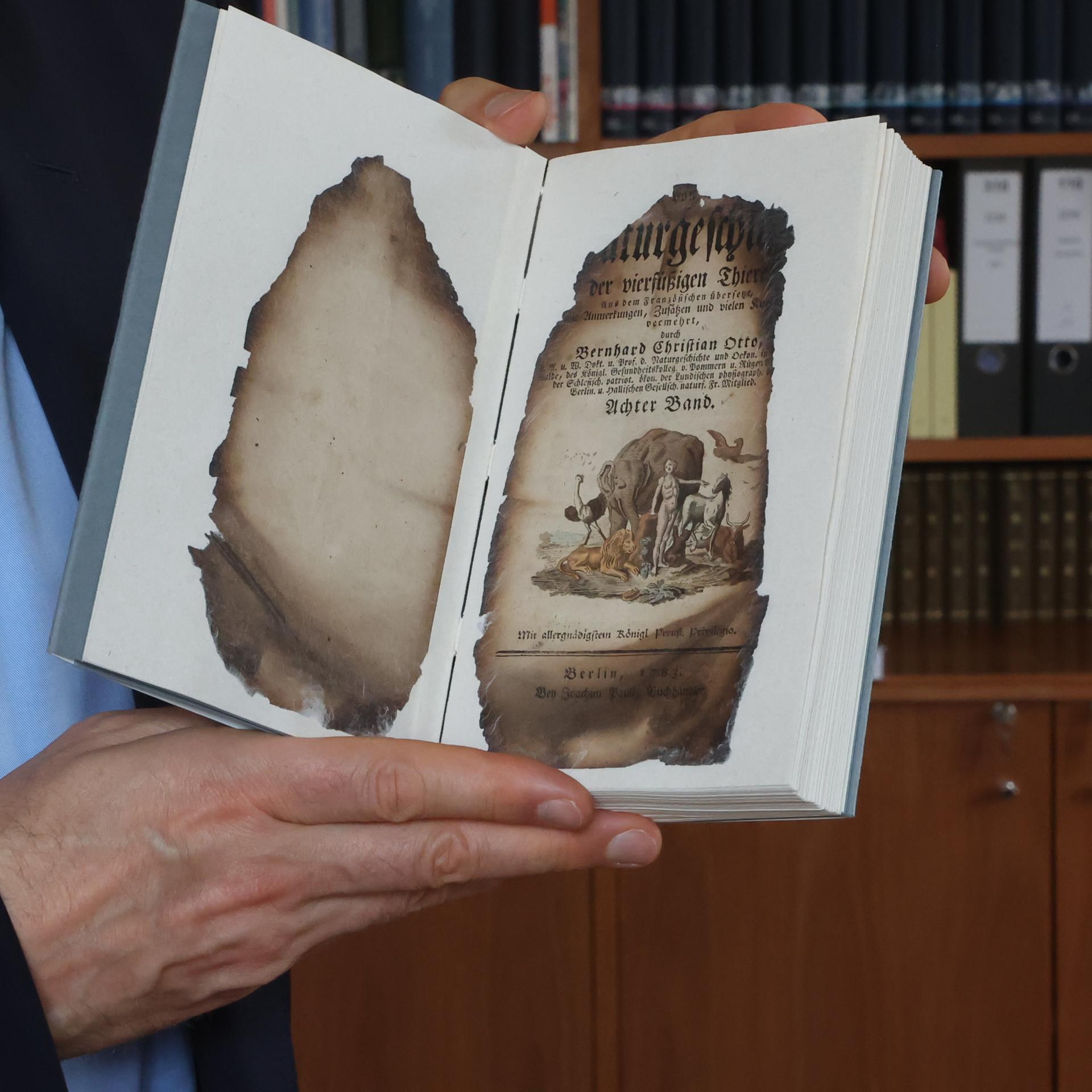 cover of episode Anna Amalia Bibliothek - Bücher, aus der Asche geborgen