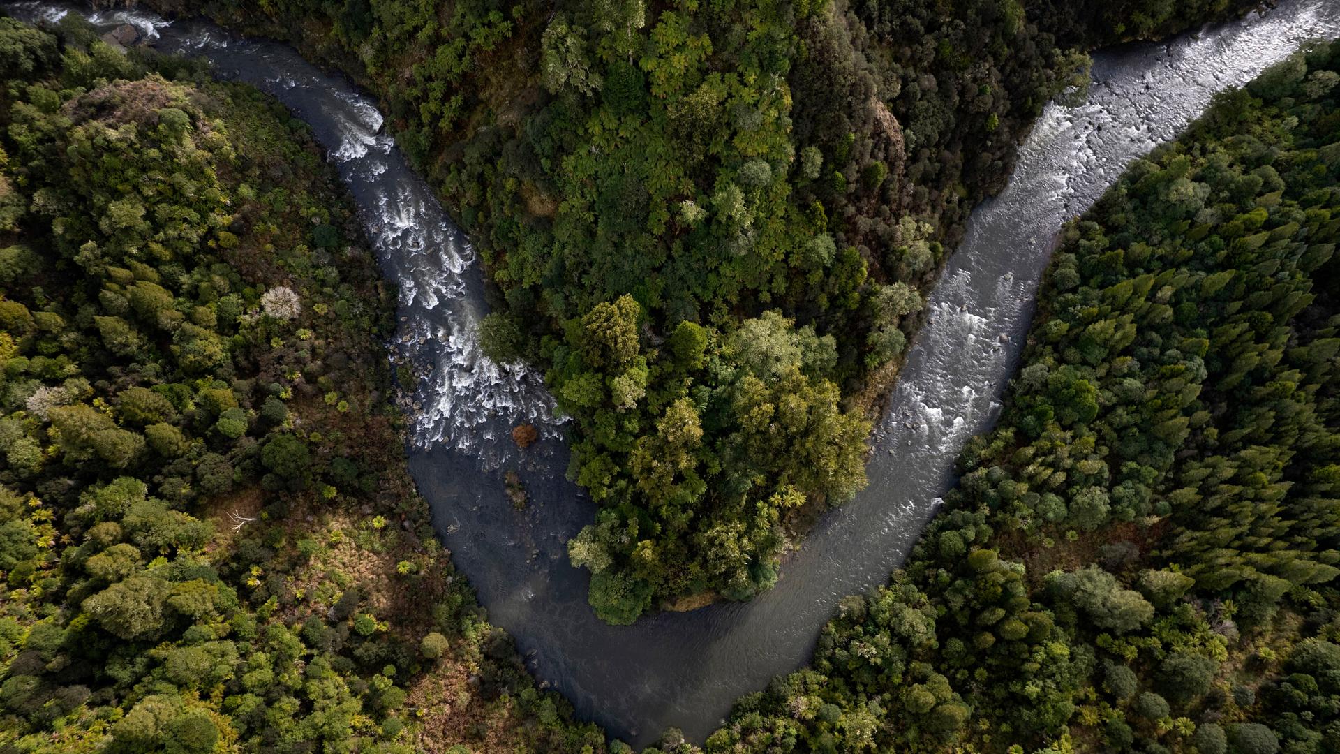 Der Whanganui River in Neuseeland ist inzwischen eine eigenständige juristische Person, die sich selbst gehört.
