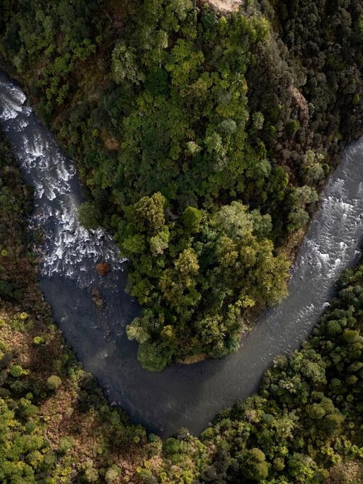 Der Whanganui River in Neuseeland ist inzwischen eine eigenständige juristische Person, die sich selbst gehört.