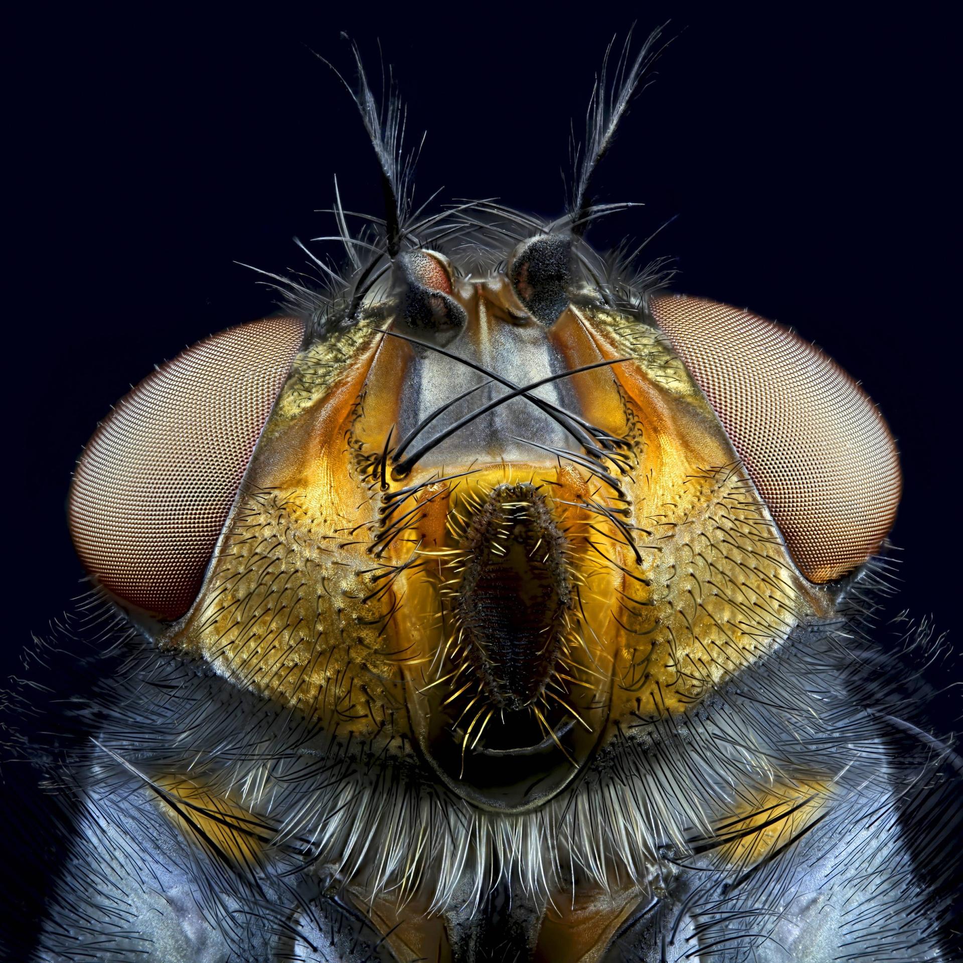 Wissenschaft im Brennpunkt