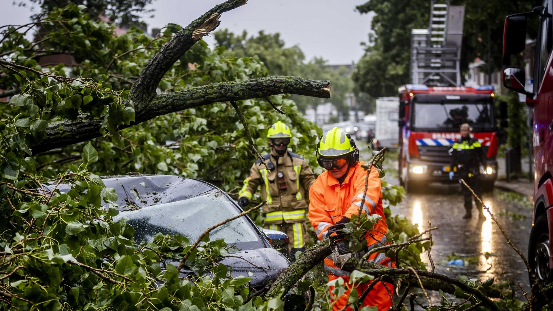 Niederlande, Haarlem: Ein umgestürzter Baum auf einem Auto auf der Marnixstraat in Haarlem. Der erste Sommersturm des Jahres und der erste seiner Art seit August 2020 trägt den Namen Poly. Niederlande, Haarlem: Ein umgestürzter Baum auf einem Auto auf der Marnixstraat in Haarlem. Der erste Sommersturm des Jahres und der erste seiner Art seit August 2020 trägt den Namen Poly.