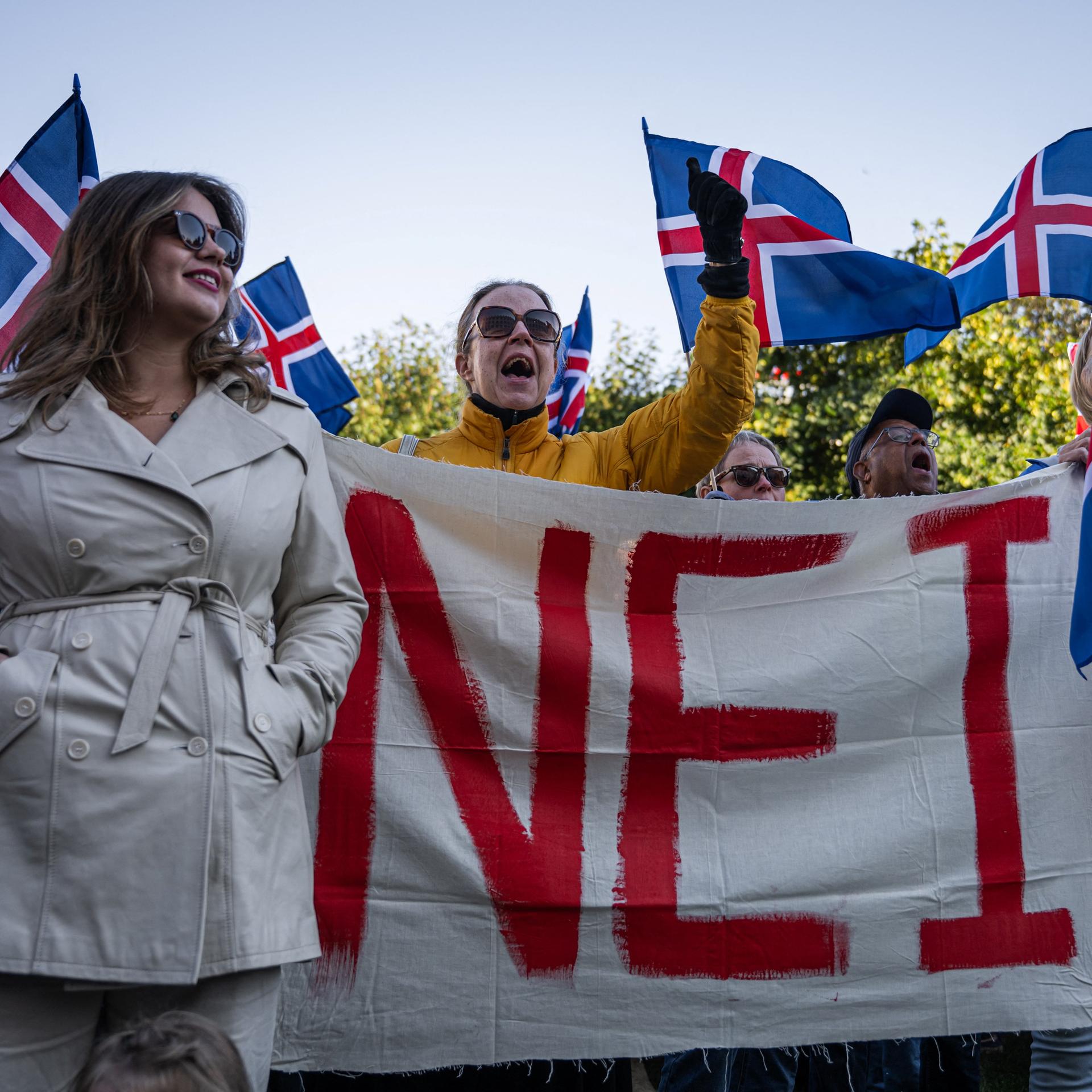 Menschen halten Island-Flaggen sowie ein großes Plakat mit der Aufschrit "Nei" 