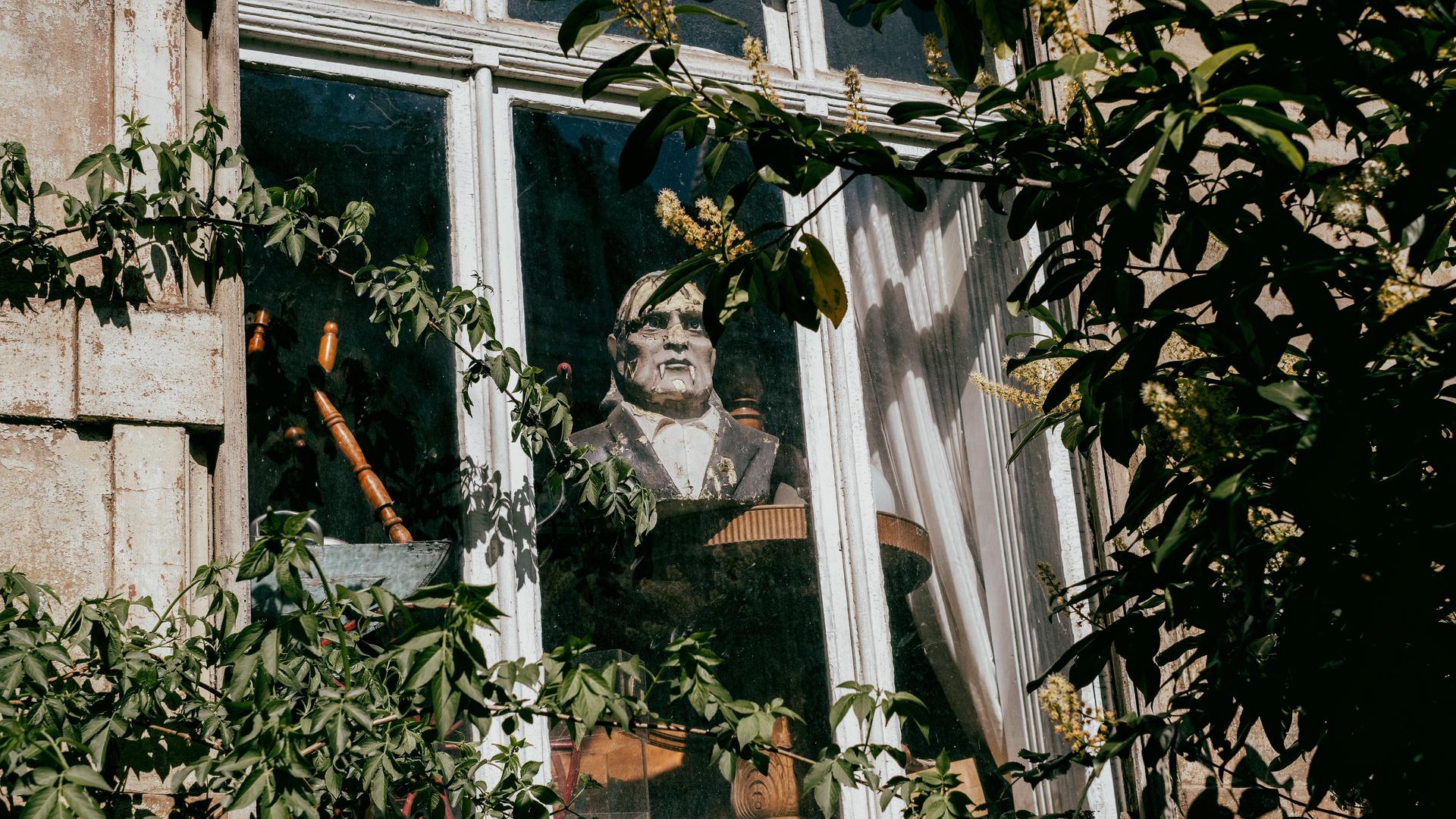 Graf-Dracula-Statue blickt aus dem verschlossenen Fenster eines alten Gebäudes.