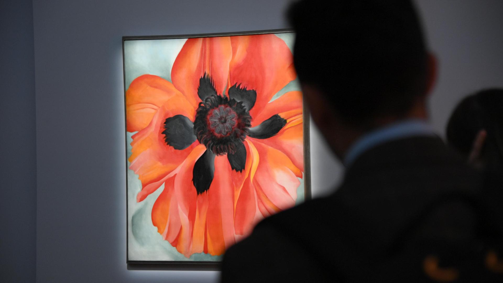Gemälde einer Mohnblume, mit Blättern in rot leuchtenden Tönen, im Vordergrund die dunkle Silhouette eines Museumsgastes