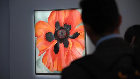 Gemälde einer Mohnblume, mit Blättern in rot leuchtenden Tönen, im Vordergrund die dunkle Silhouette eines Museumsgastes