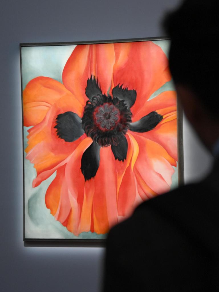 Gemälde einer Mohnblume, mit Blättern in rot leuchtenden Tönen, im Vordergrund die dunkle Silhouette eines Museumsgastes