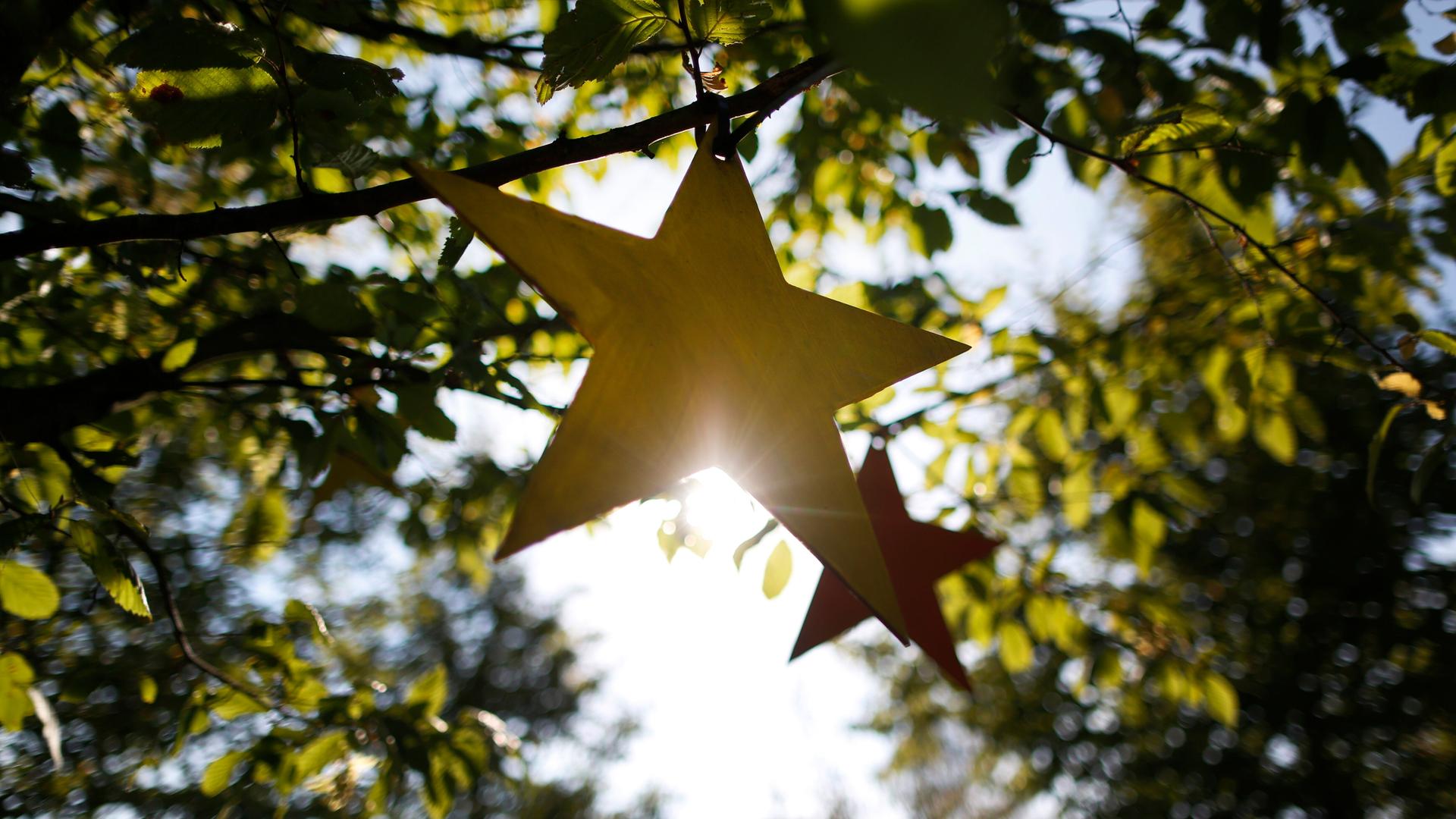 Gebastelte Sterne hängen am in Castrop-Rauxel (Nordrhein-Westfalen) im Rahmen des Projektes "Für jedes verstorbene Kind einen Baum" an einem Baum. Gebastelte Sterne hängen am in Castrop-Rauxel (Nordrhein-Westfalen) im Rahmen des Projektes "Für jedes verstorbene Kind einen Baum" an einem Baum.