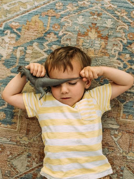 Ein Junge liegt mit dem Rücken auf einem Teppich und hält einen Spielzeugdinosaurier über der Stirn.