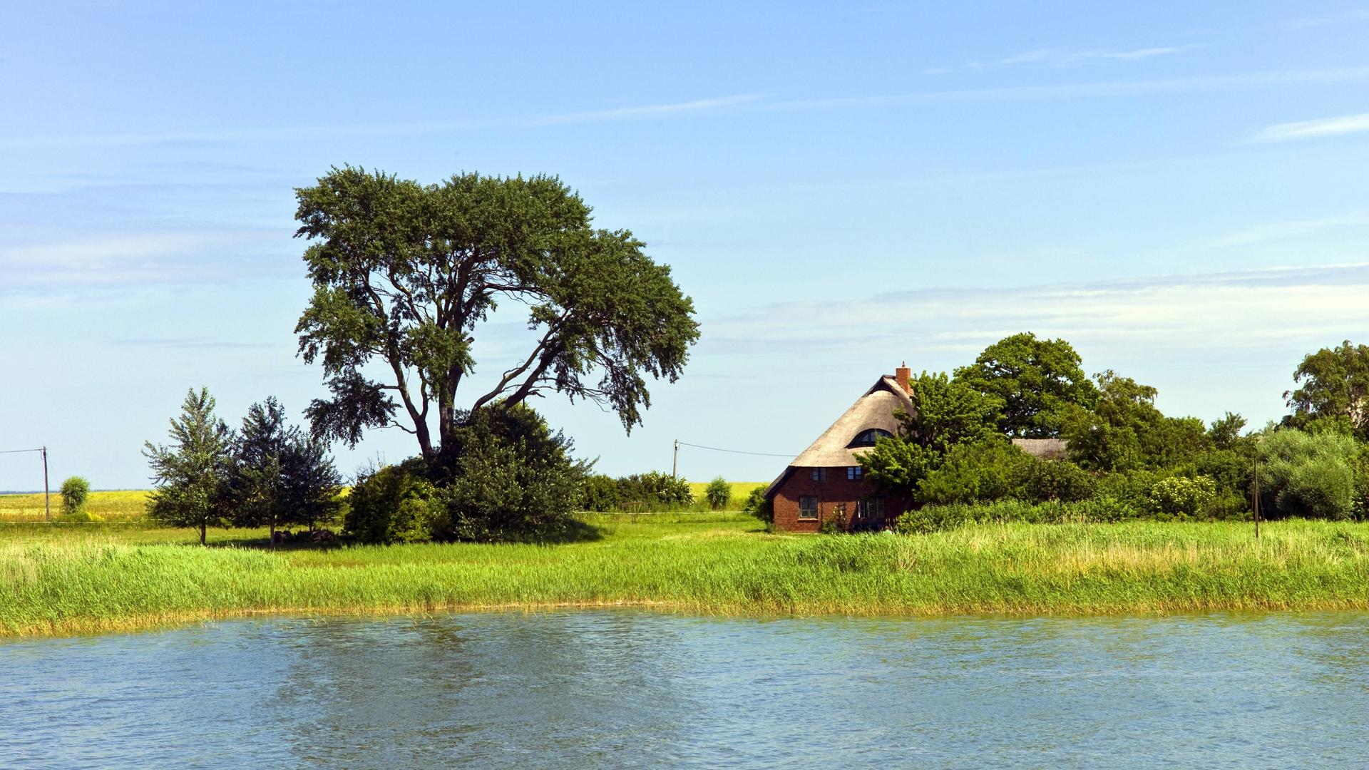 Ein Reetdachhaus am Saaler Bodden in Mecklenburg-Vorpommern Ein Reetdachhaus am Saaler Bodden in Mecklenburg-Vorpommern