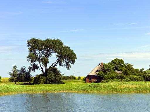 Ein Reetdachhaus am Saaler Bodden in Mecklenburg-Vorpommern 
