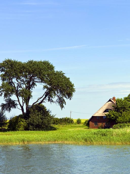 Ein Reetdachhaus am Saaler Bodden in Mecklenburg-Vorpommern 
