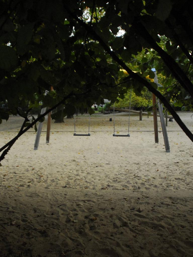 Aufnahme eines verlassenen Kinderspielplatzes durch dunkles Gebüsch hindurch.