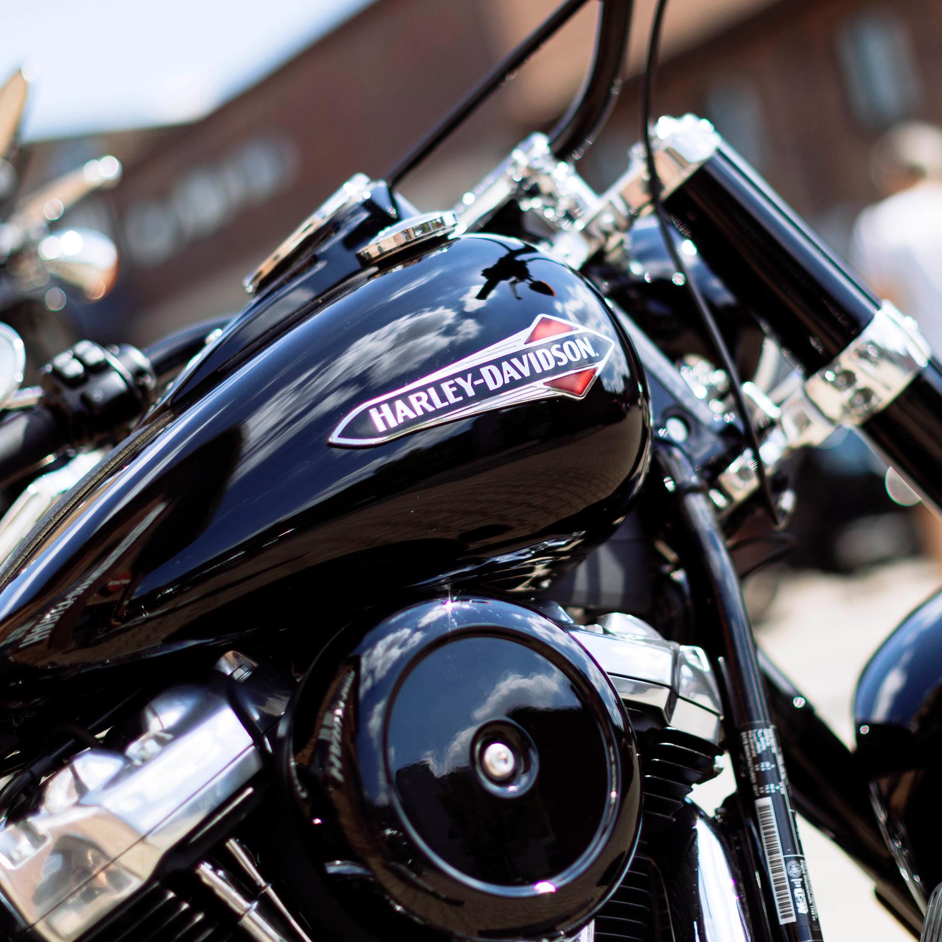 Europaabgeordneter - EU muss gegenüber Trump klare Kante zeigen