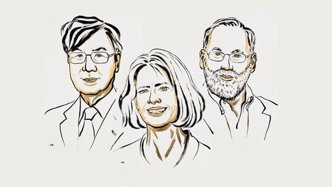Eine Illustration zeigt die Gewinner des Medizin-Nobelpreises 2025.