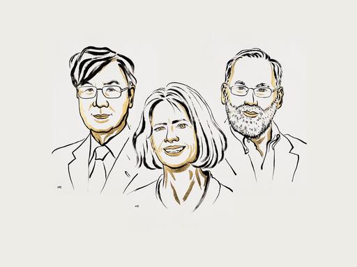 Eine Illustration zeigt die Gewinner des Medizin-Nobelpreises 2025. Eine Illustration zeigt die Gewinner des Medizin-Nobelpreises 2025.