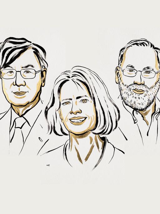 Eine Illustration zeigt die Gewinner des Medizin-Nobelpreises 2025.