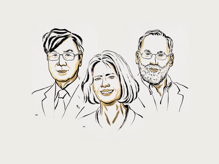 Eine Illustration zeigt die Gewinner des Medizin-Nobelpreises 2025.