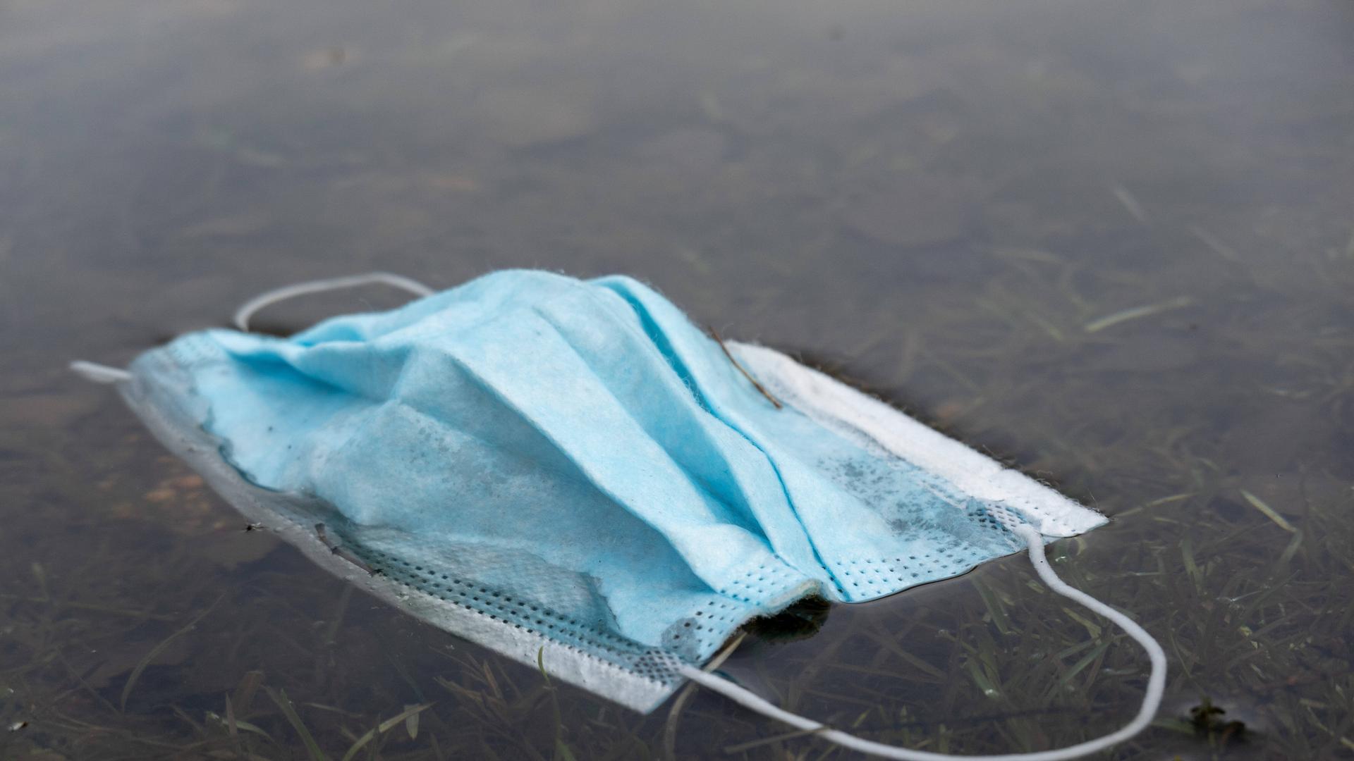 Umweltverschmutzung, weggeworfene Einwegmaske schwimmt am Ufer eines Gewässers, Symbolfoto. *** Pollution, discarded dis Umweltverschmutzung, weggeworfene Einwegmaske schwimmt am Ufer eines Gewässers, Symbolfoto. *** Pollution, discarded dis