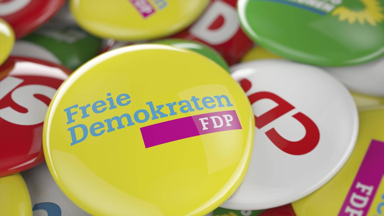 Fdp und migrationspolitik gespaltene partei
