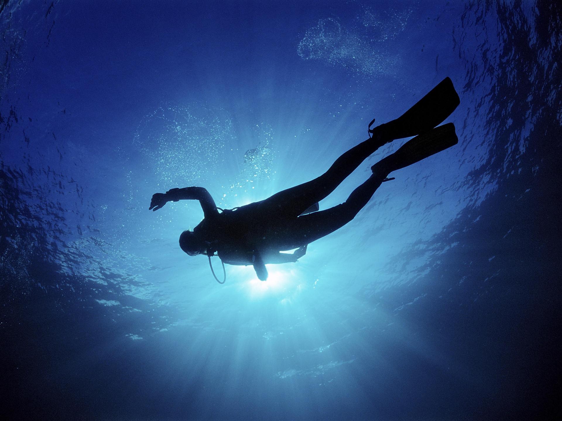 Ein Taucher mit Flossen und Sauerstoffflasche schwebt als dunkle Silhouette im tiefblauen Wasser. Von der hellen Wasseroberfläche fällt Licht in die Tiefe, über dem Taucher steigen kleine Luftblasen auf.