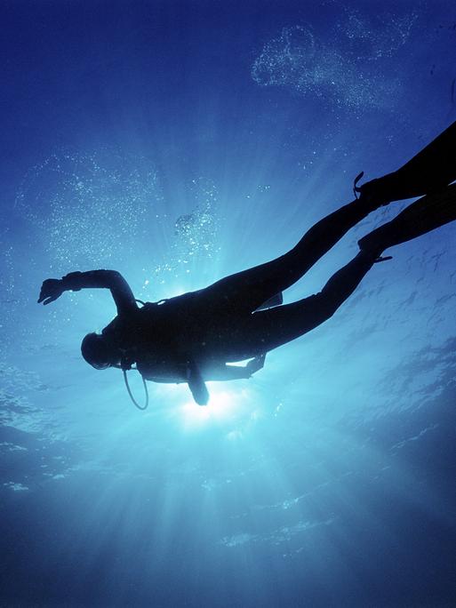 Ein Taucher mit Flossen und Sauerstoffflasche schwebt als dunkle Silhouette im tiefblauen Wasser. Von der hellen Wasseroberfläche fällt Licht in die Tiefe, über dem Taucher steigen kleine Luftblasen auf. Ein Taucher mit Flossen und Sauerstoffflasche schwebt als dunkle Silhouette im tiefblauen Wasser. Von der hellen Wasseroberfläche fällt Licht in die Tiefe, über dem Taucher steigen kleine Luftblasen auf.