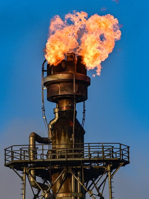 Das Foto zeigt die Verbrennung von überschüssigem Gas in der Rohölverarbeitungsanlage PCK in Schwedt: Eine große Flamme entweicht einem Schlot.  