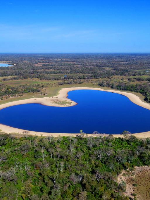 Landschaft im brasilianischen Pantanal Landschaft im brasilianischen Pantanal