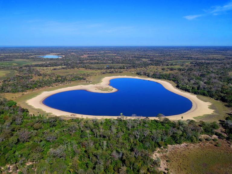 Landschaft im brasilianischen Pantanal Landschaft im brasilianischen Pantanal