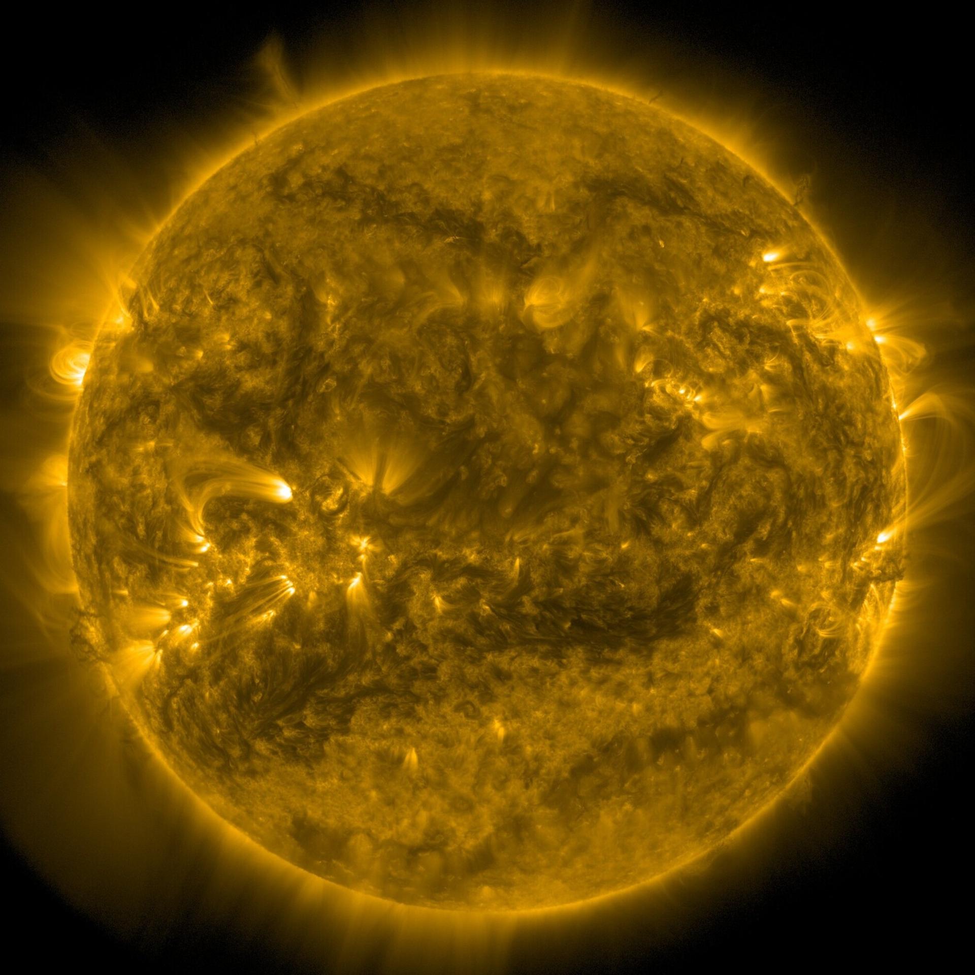 365,2422 Tage - Wann haben Schalttagskinder Geburtstag?