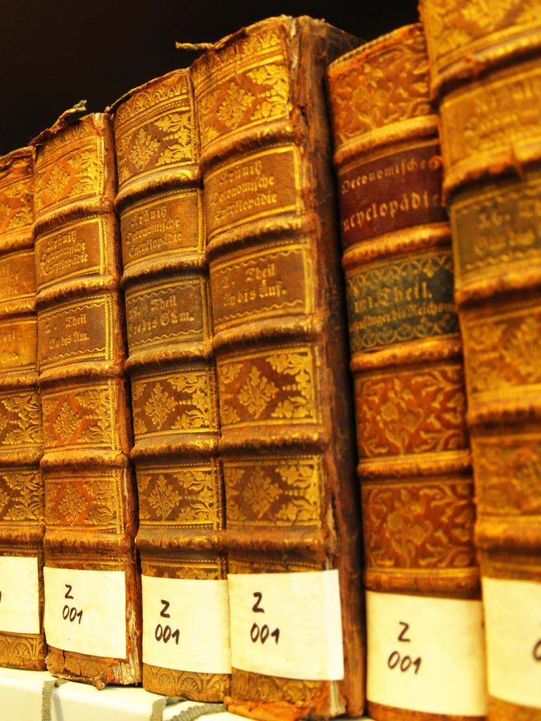 Wir sehen alte Nachschlagewerke, die in einer Bibliothek stehen. 
