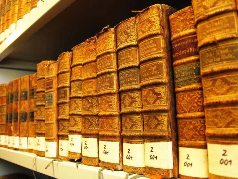Wir sehen alte Nachschlagewerke, die in einer Bibliothek stehen. 
