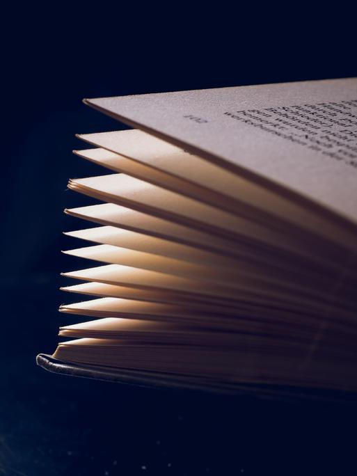 Geöffnetes und gefächertes Buch vor dunklem Hintergrund mit Textfreiraum