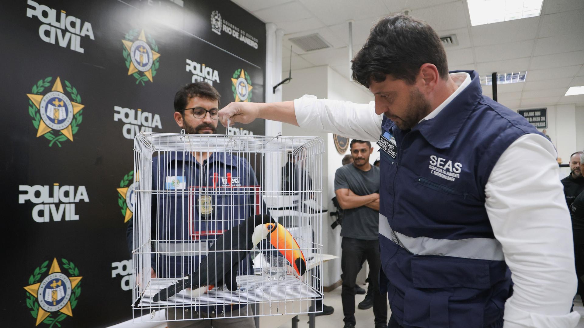 Auf diesem vom Staatssekretariat für Umwelt und Nachhaltigkeit von Rio de Janeiro (SEAS) zur Verfügung gestellten Bild zeigt ein Mitarbeiter der SEAS einen Tukan, der zum illegalen Verkauf bestimmt war. 