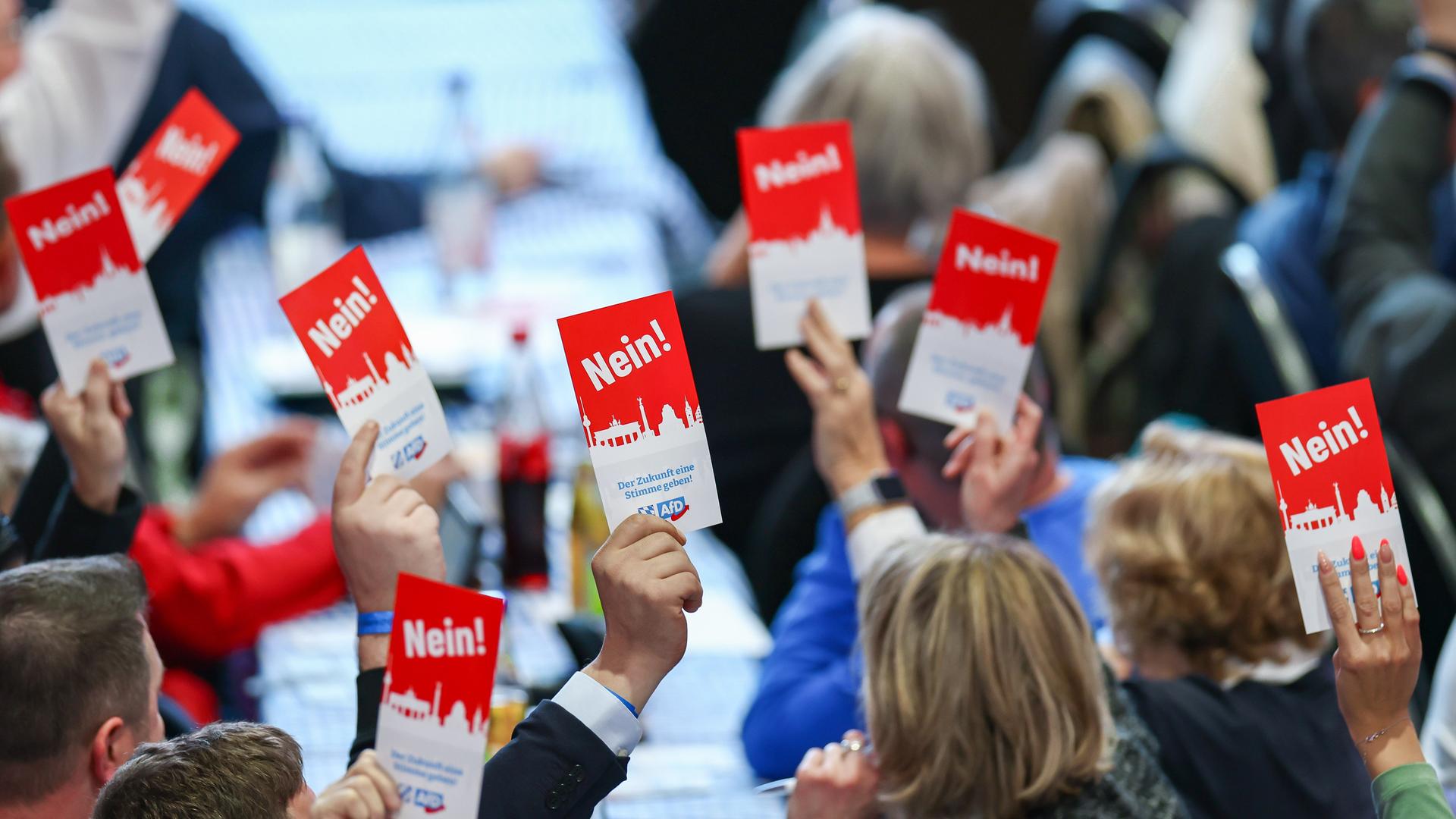 Mitglieder halten ihre Stimmkarte beim Landesparteitag der AfD Bayern in die Höhe.