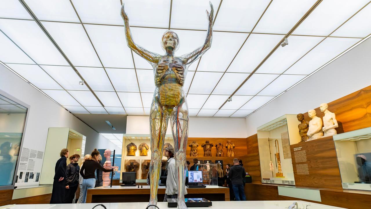 Die Gläserne Frau im Deutschen Hygiene-Museum in Dresden. 