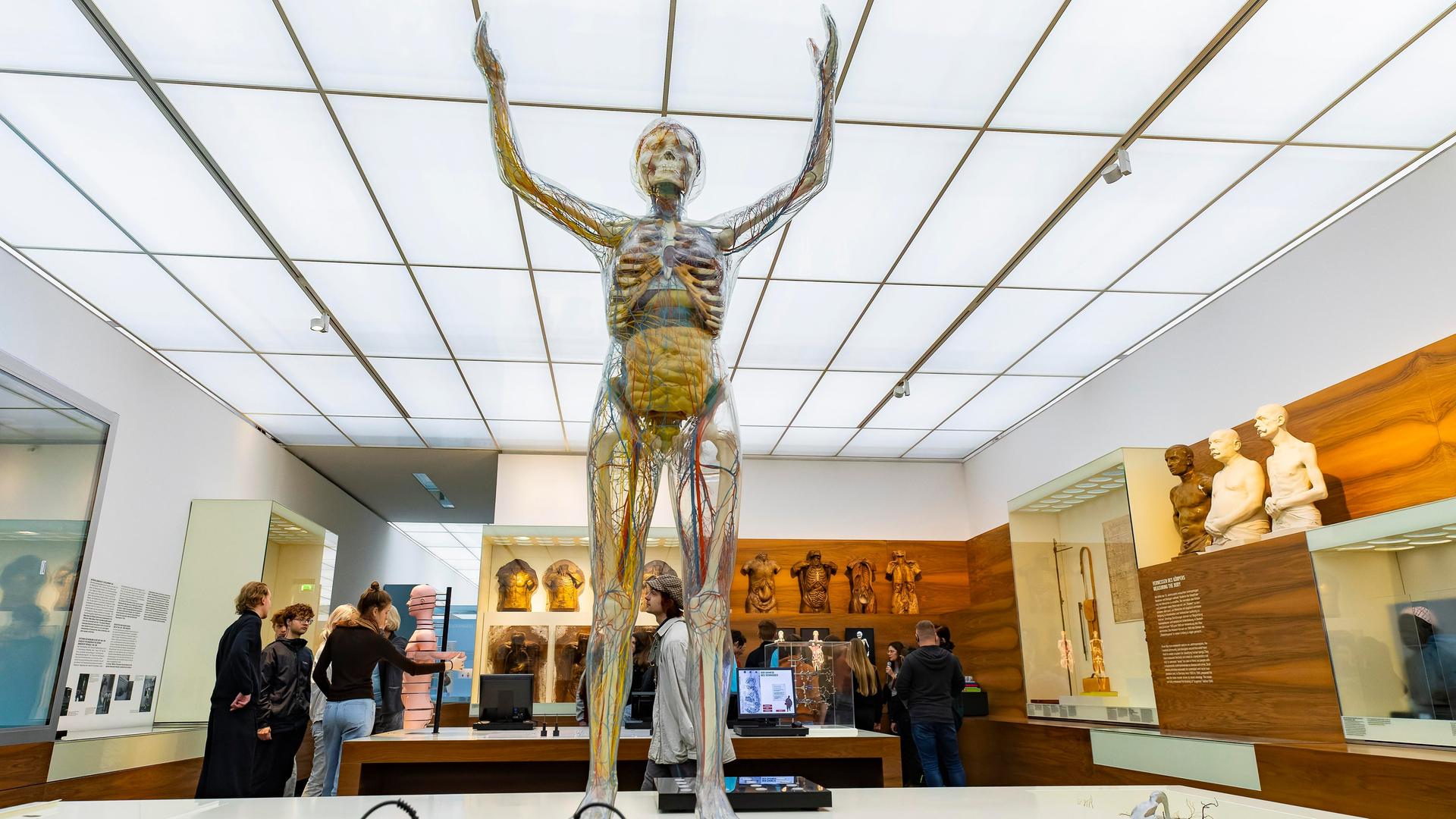 Die Gläserne Frau im Deutschen Hygiene-Museum in Dresden. 