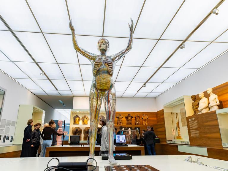 Die Gläserne Frau im Deutschen Hygiene-Museum in Dresden. 