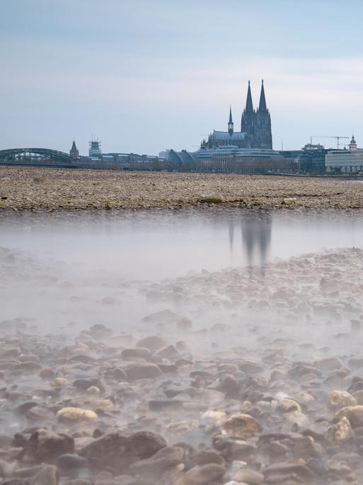 Niedrigwasser durch Dürre im Rhein bei Köln. Im Hintergrund ist leicht unscharf der Kölner Dom zu sehen.