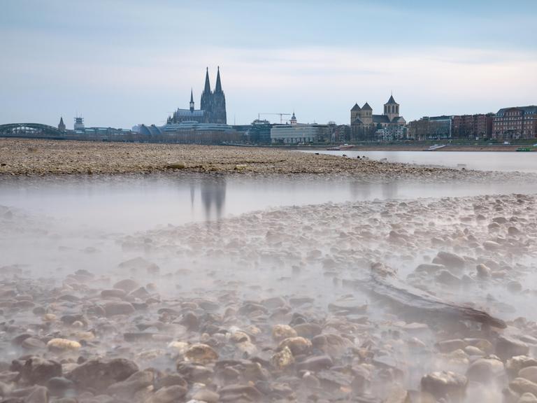 Niedrigwasser durch Dürre im Rhein bei Köln. Im Hintergrund ist leicht unscharf der Kölner Dom zu sehen.