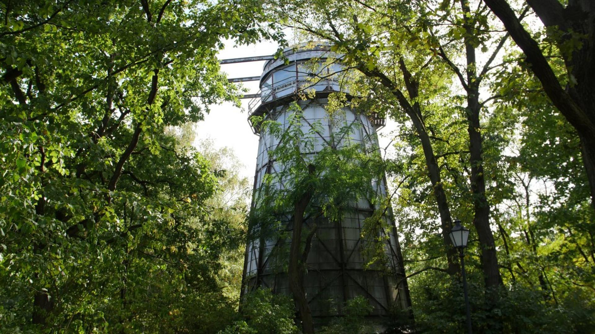 Zwischen Bäumen fällt der Blick von unten auf einen Turm. Zwischen Bäumen fällt der Blick von unten auf einen Turm.