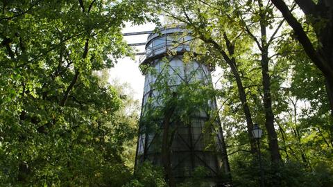 Zwischen Bäumen fällt der Blick von unten auf einen Turm.