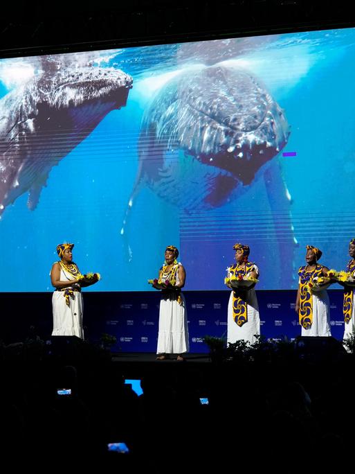 Afrokolumbianische Frauen treten während der Eröffnungszeremonie der COP16, einer Konferenz der Vereinten Nationen zum Thema Biodiversität, im kolumbianischen Cali auf. 