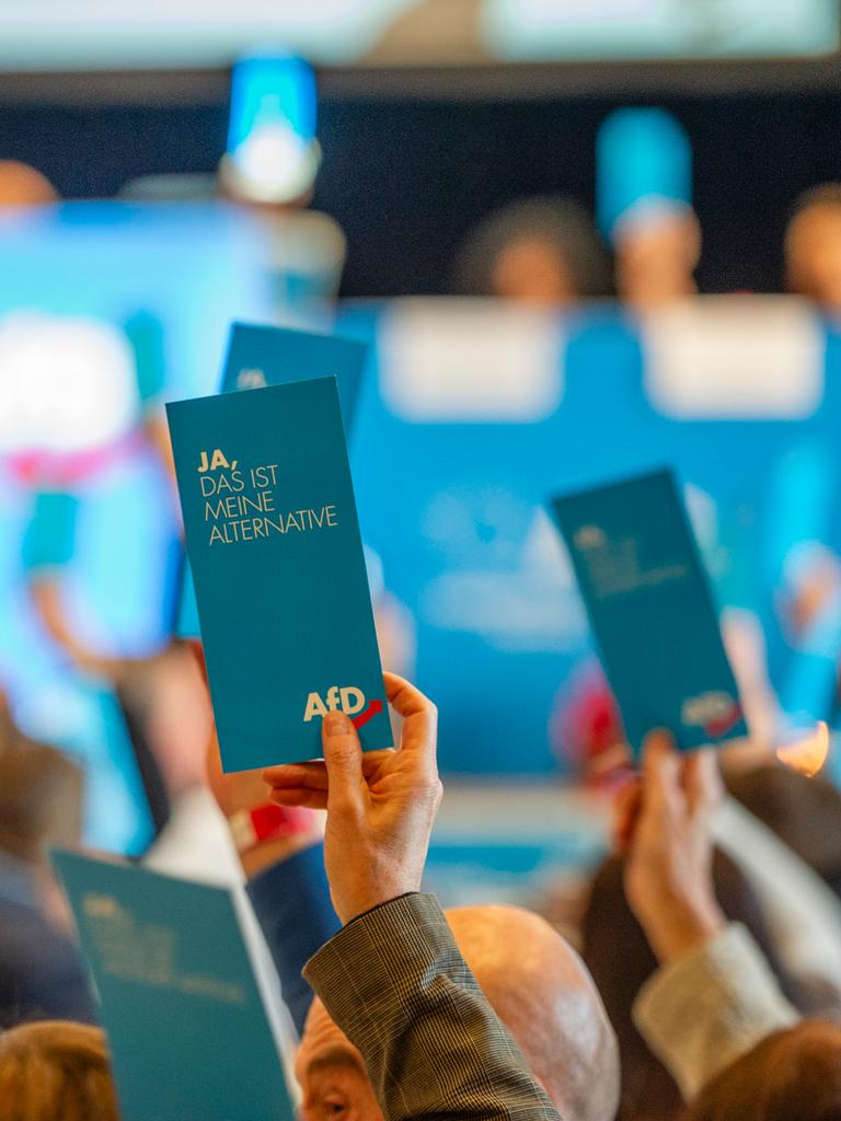 Auf dem Landesparteitag in Saarbrücken halten AfD-Mitglieder Abstimmungskarten in die Höhe.
