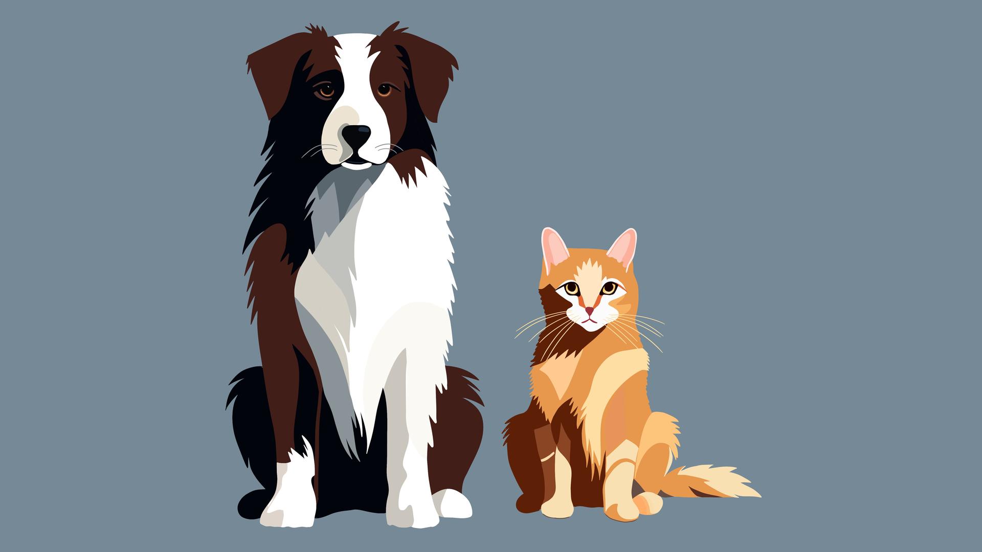 Illustration eines braun-schwarzen Hundes, der neben einer orange-weißen Katze sitzt. Der Hintergrund ist grau-blau.