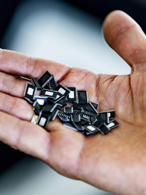 Zahlreiche Mikrochips liegen auf einer Hand.