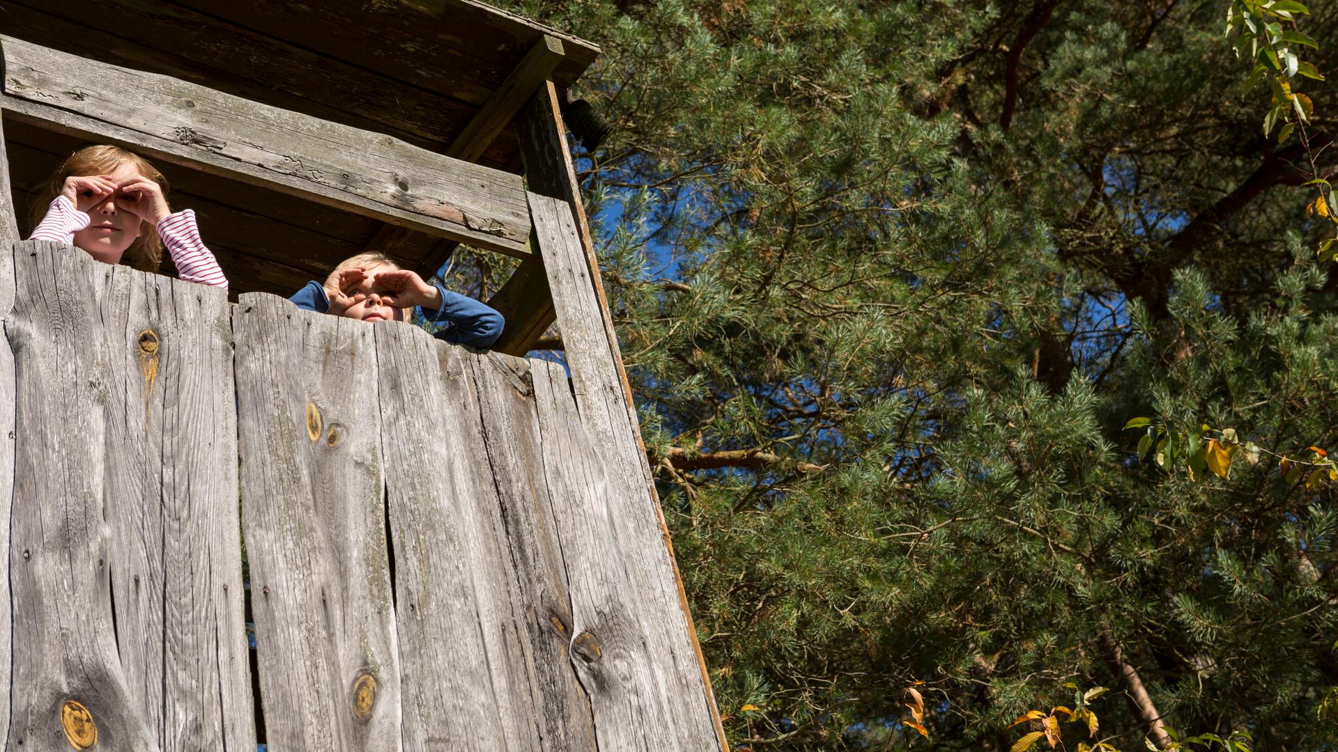 Ein junge und ein Mädchen schauen aus einem Baumhaus und halten sich die Hände wir Ferngläser vor die Augen